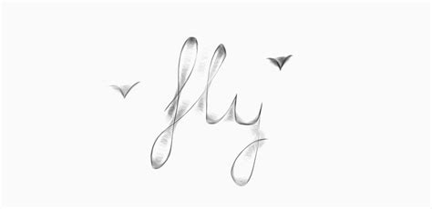 mr doob fly .